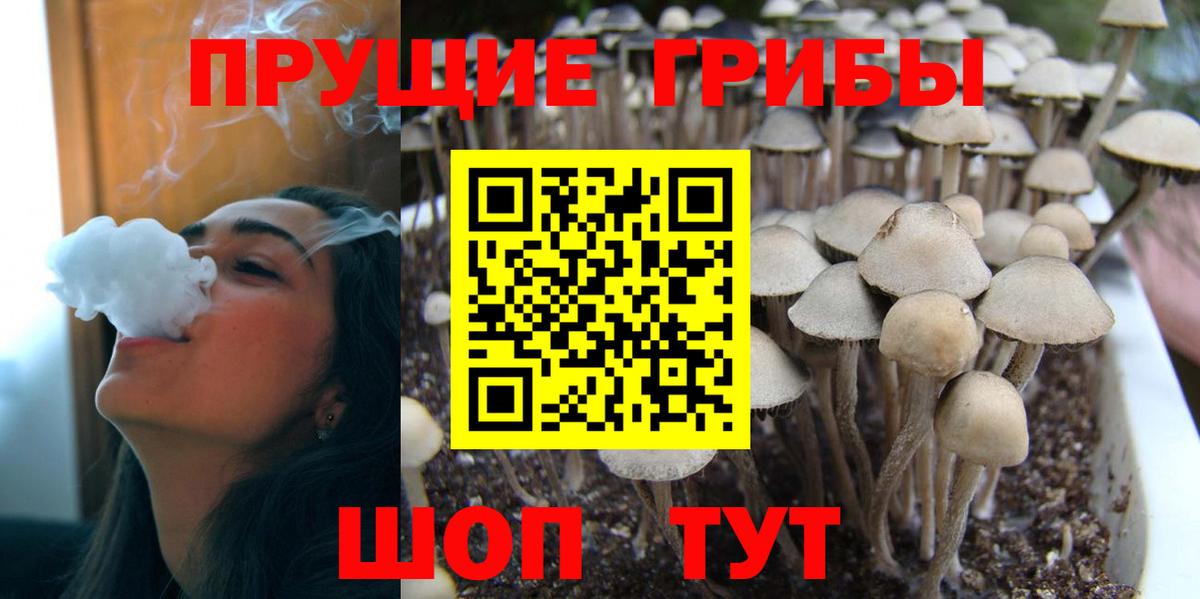 Шелехов  Псилоцибиновые грибы Magic Shrooms  Вход с VPN 